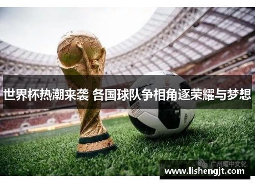 世界杯热潮来袭 各国球队争相角逐荣耀与梦想