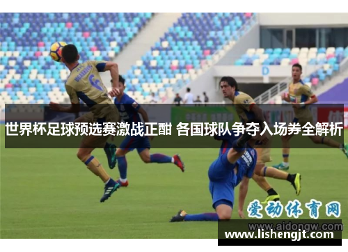 世界杯足球预选赛激战正酣 各国球队争夺入场券全解析