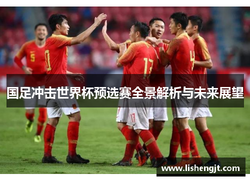 国足冲击世界杯预选赛全景解析与未来展望