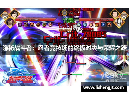 隐秘战斗者：忍者竞技场的终极对决与荣耀之路