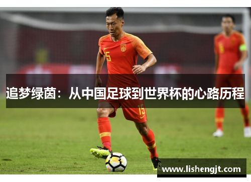 追梦绿茵：从中国足球到世界杯的心路历程