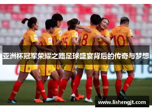 亚洲杯冠军荣耀之路足球盛宴背后的传奇与梦想