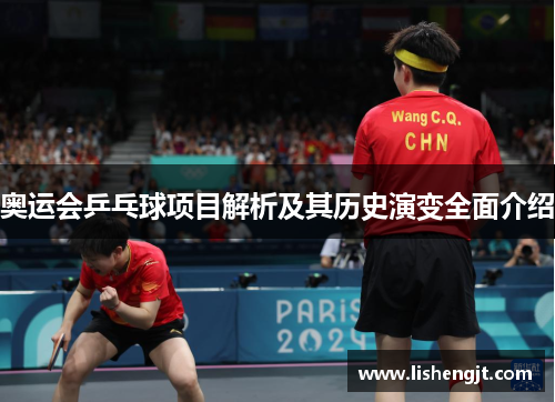 奥运会乒乓球项目解析及其历史演变全面介绍